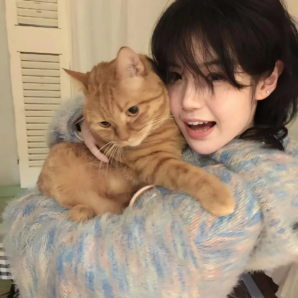 猫咪第一次见到小奶狗的反应，太治愈了 - 56影院